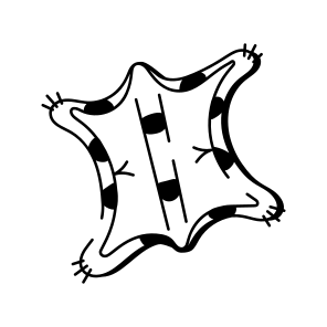 Animal Pelt icon