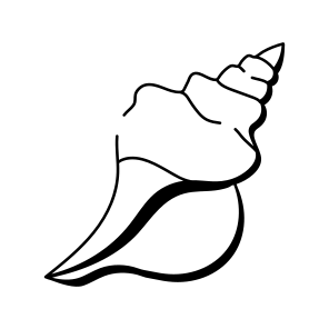 Conch Shell icon