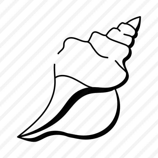 Conch Shell preview
