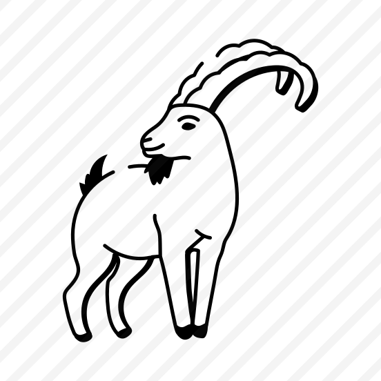 Himalayan Sheep preview