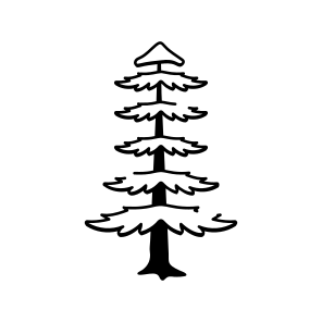 Pine icon