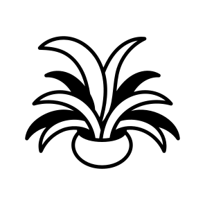 Air Plant icon