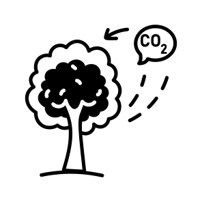 Carbon Absorption icon