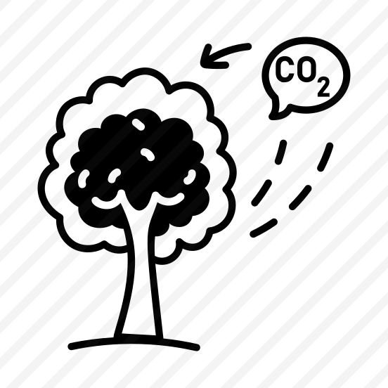 Carbon Absorption preview