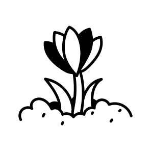 Crocus Flower icon