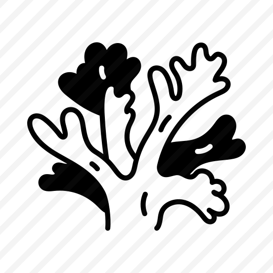 Fringing Reef preview