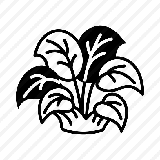 Hosta Leaves preview