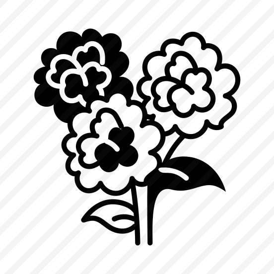 Hydrangea Flowers preview