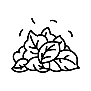 Leaf Pile icon