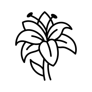 Lily Flower icon