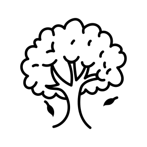 Oak Tree icon