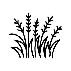 Pampas Grass icon
