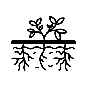 Plant Roots icon