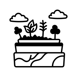 Rain Forest icon