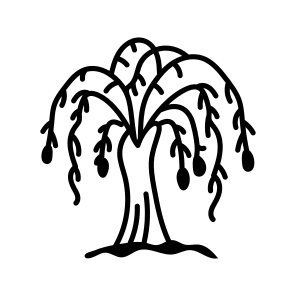 Salix Tree icon