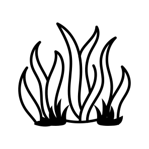Seagrass icon