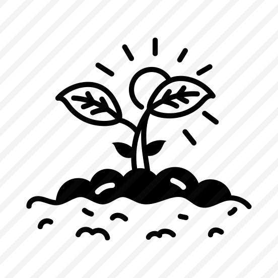 Seed Sprouting preview