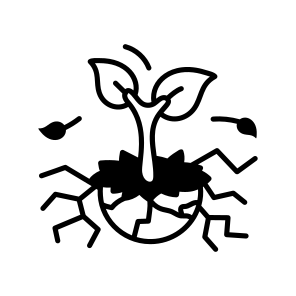 Sprouting icon
