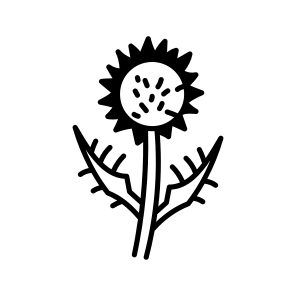 Thistle Plant icon