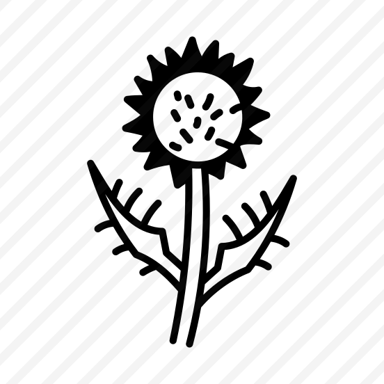 Thistle Plant preview