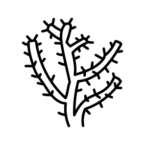 Thorn Bush icon