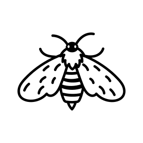 Tiger Moth icon