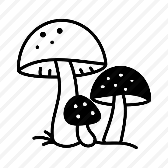 Wild Mushrooms preview