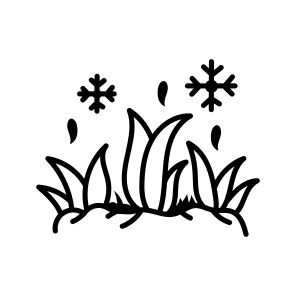 Winter Grass icon