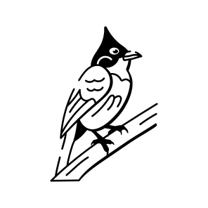 Whiskered Bulbul icon