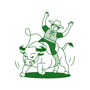 Rodeo Rider icon