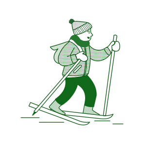 Skier icon