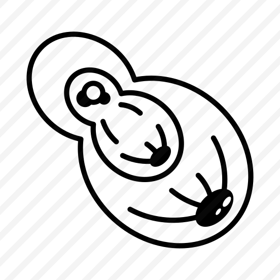 Cell Division preview