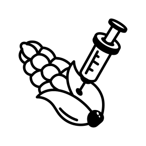 Gmo Corn icon