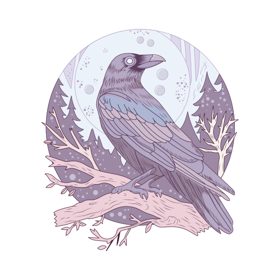 Crow illustration