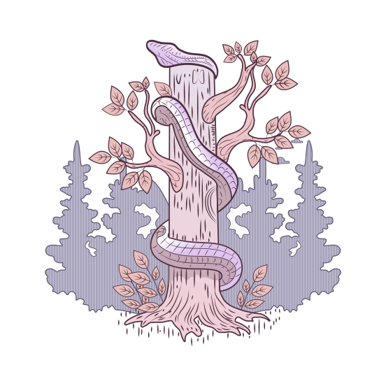 Serpent illustration