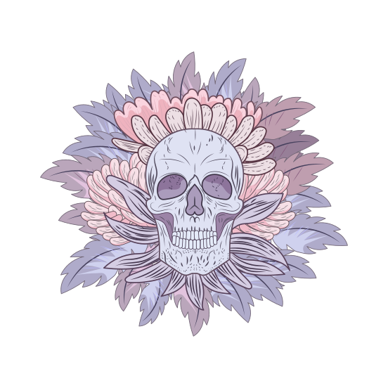 Skull illustration