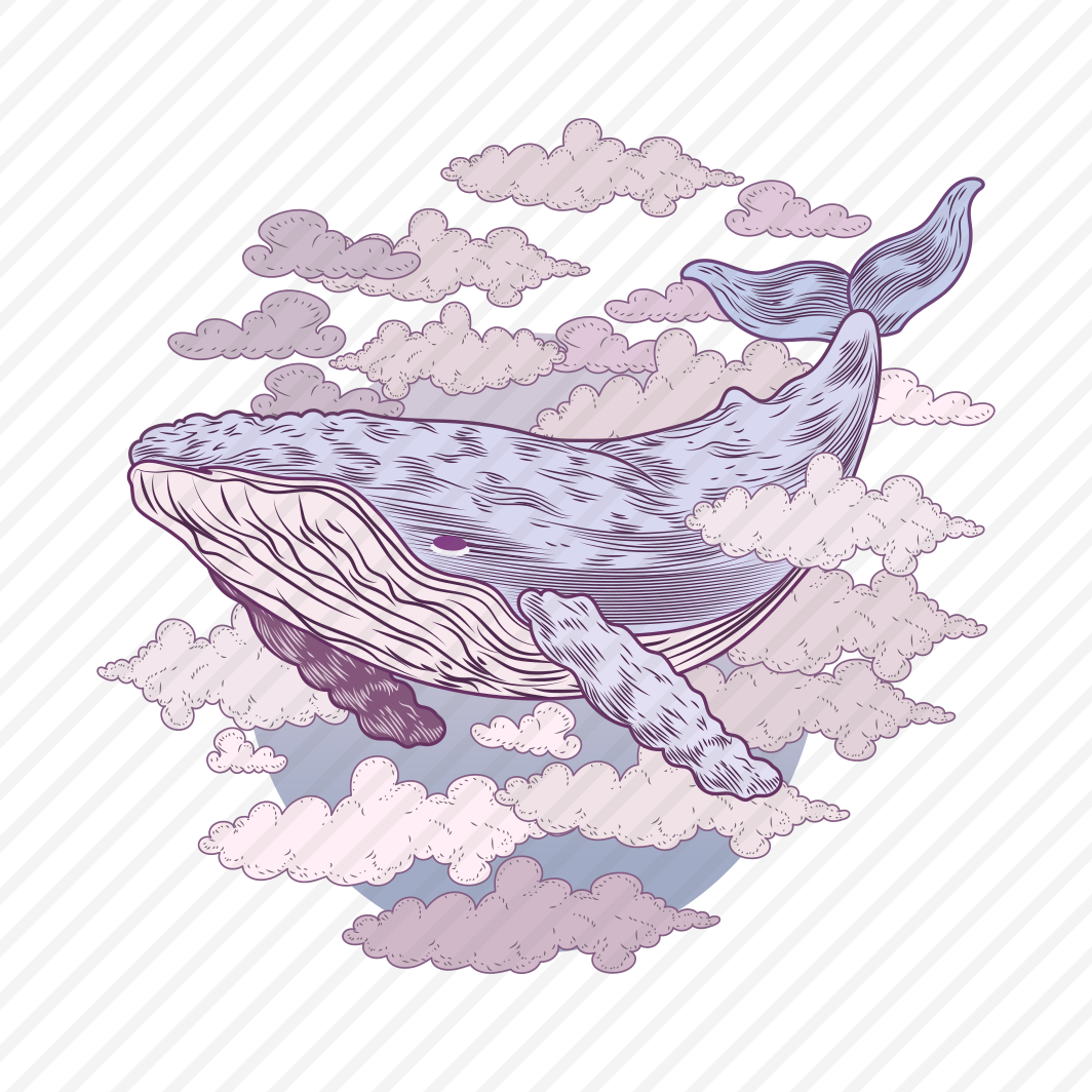Whale preview