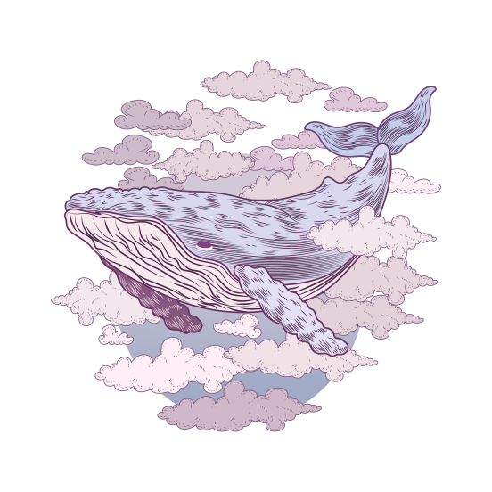 Whale illustration
