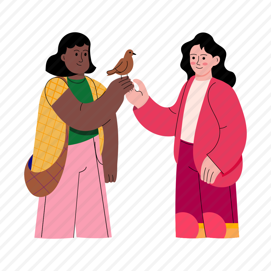 Feeding Pigeons preview