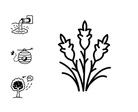 Nature  family preview image